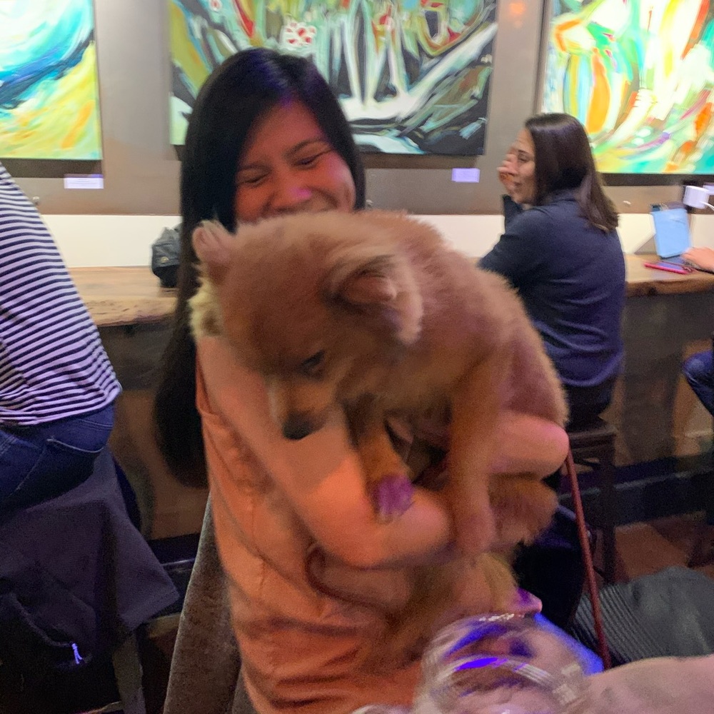 Meet your Posher, Judy